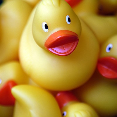 rubber ducks - Jeremys Home Store - 1