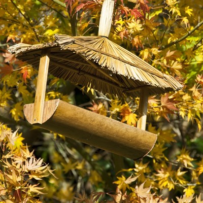 Swallowtail Hill Hanging Bird Table