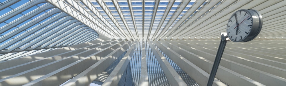 Liege Guillemins Station by Santiago Calatrava photographed by Colin Walton at WaltonCreative