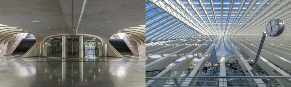Liege Guillemins Station by Santiago Calatrava photographed by Colin Walton at WaltonCreative