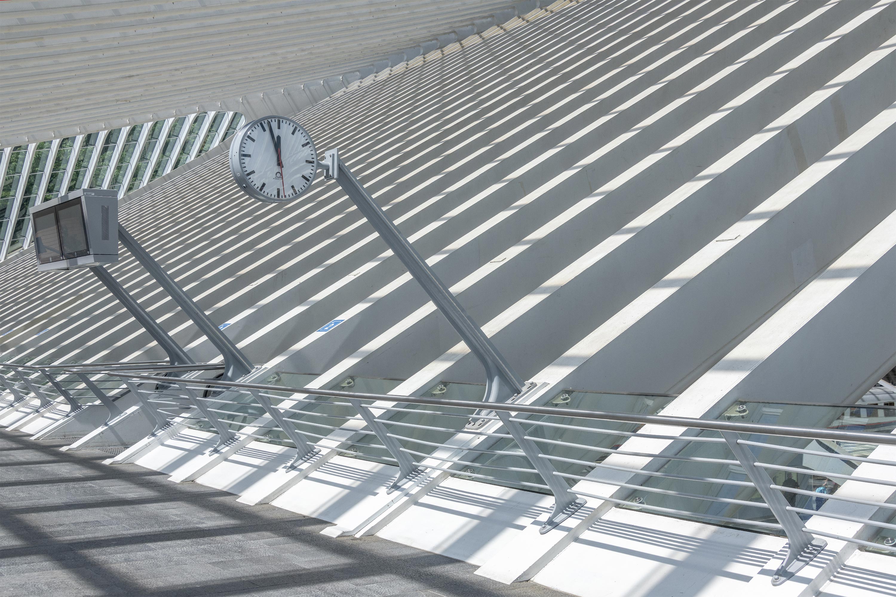 Liege Guillemins Station by Santiago Calatrava shot by WaltonCreative