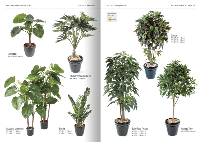 Fake Plants Catalogue Design for Capital Garden Products