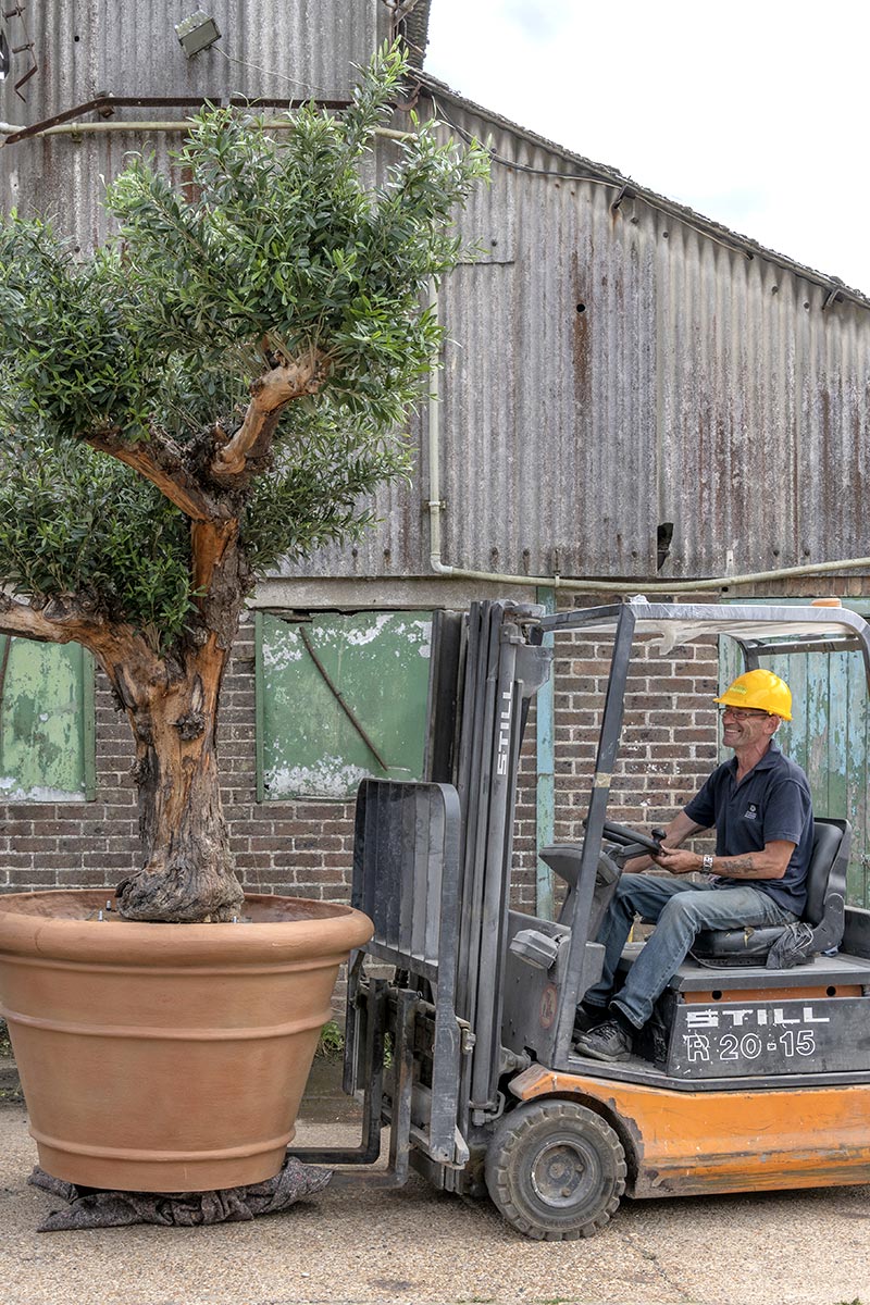 Action Photography for Capital Garden Products