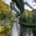 Wuppertal Schwebebahn Monorail, Germany 190906wc859723