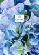 Featured-CGP-Plants-Cover x30