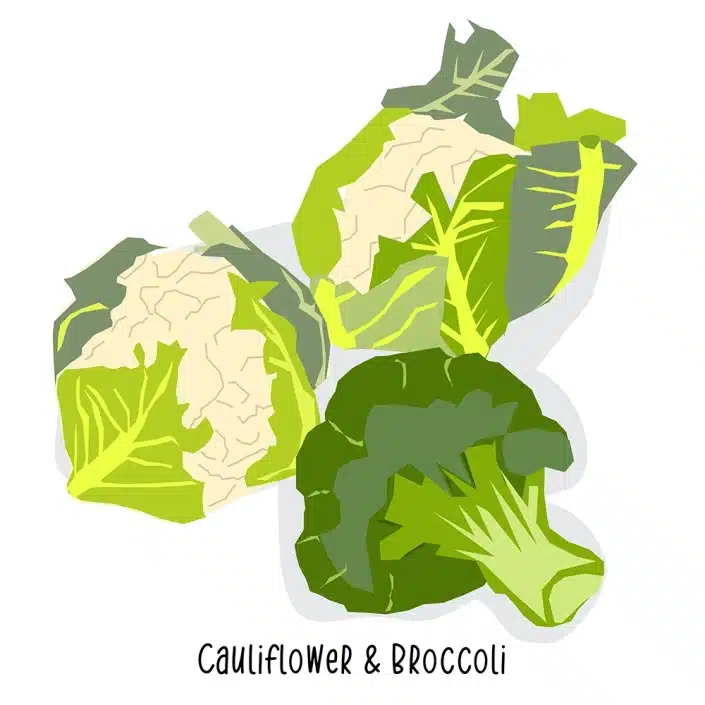 Grocery Store Cauliflower & Broccoli