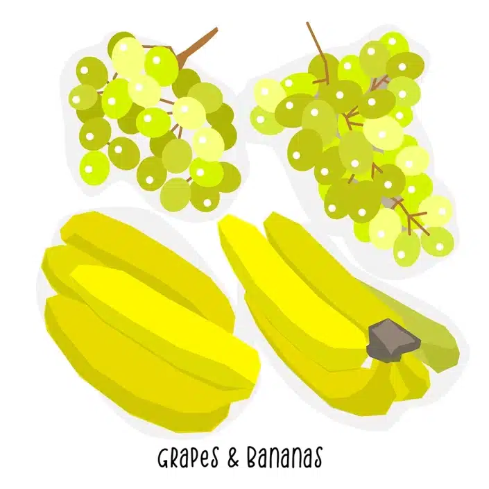 Grocery Store Grapes & Bananas