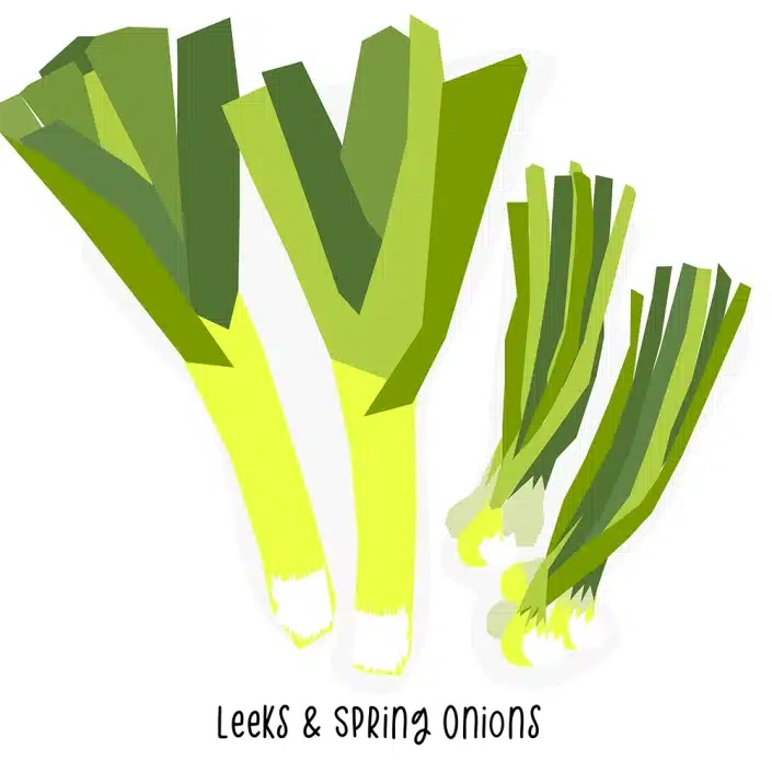Grocery Store Leeks & Spring Onions