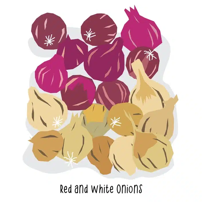 Grocery Store Red & White Onions